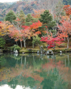 嵯峨嵐山 天龍寺、紅葉、日本庭園、11月秋、京都府京都市の観光・撮影スポットの名所